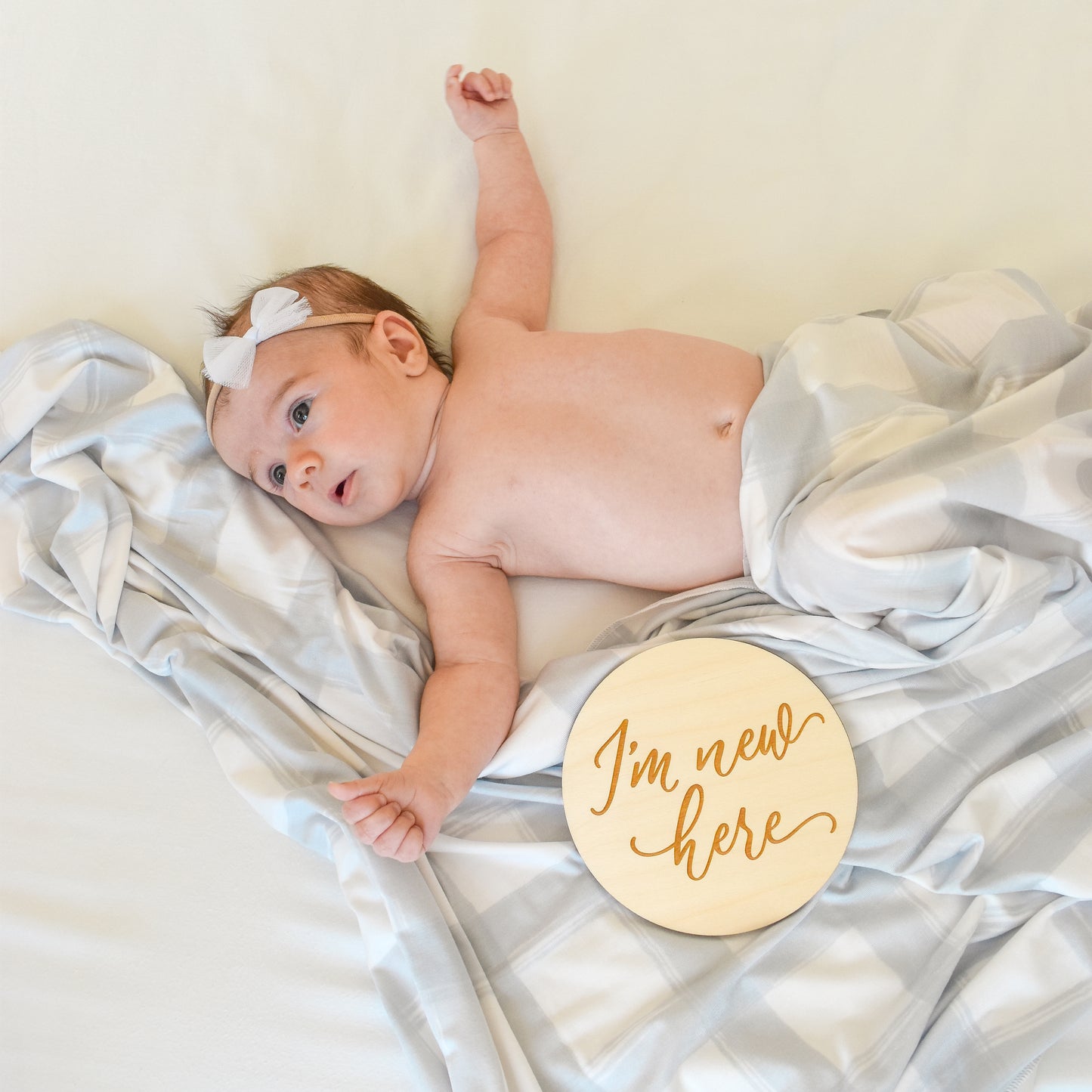 Extra Soft Stretchy Knit Swaddle Blanket: French Gingham