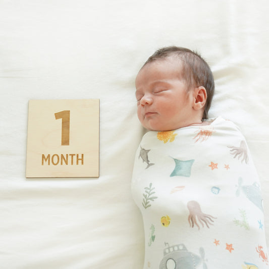 one month old baby sign and blanket