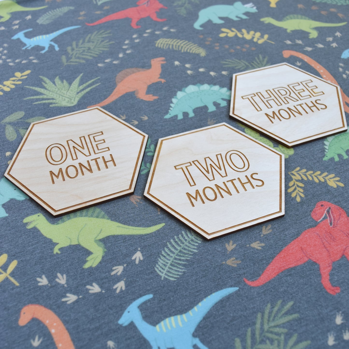 one month, two and three months signs on jurassic tracks dinosaur stretch knit swaddle blanket for village baby